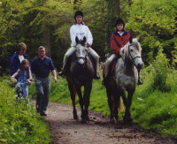 Aldenham 77 used to be an unrecorded path