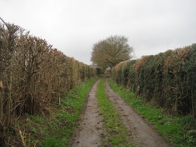 Photograph of Abbots Langley 76