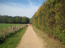 Photograph taken 1 Oct 11. View along path.