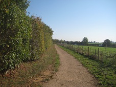 Photograph taken 1 Oct 11. View along path.