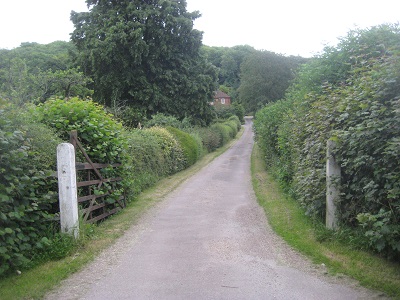 Photograph of route to Aldbury 29 bridleway
