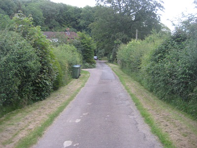 Photograph of route to Aldbury 29 bridleway