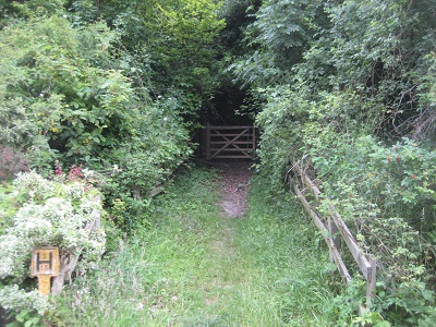 Photograph of route to Aldbury 29 bridleway