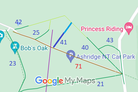 Map showing Aldbury 41 Bridleway