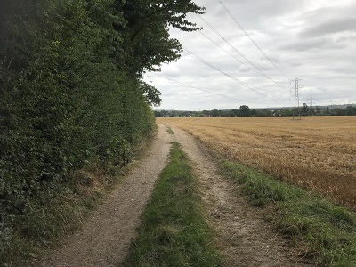 Aldenham 13
