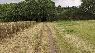 Aldenham 5