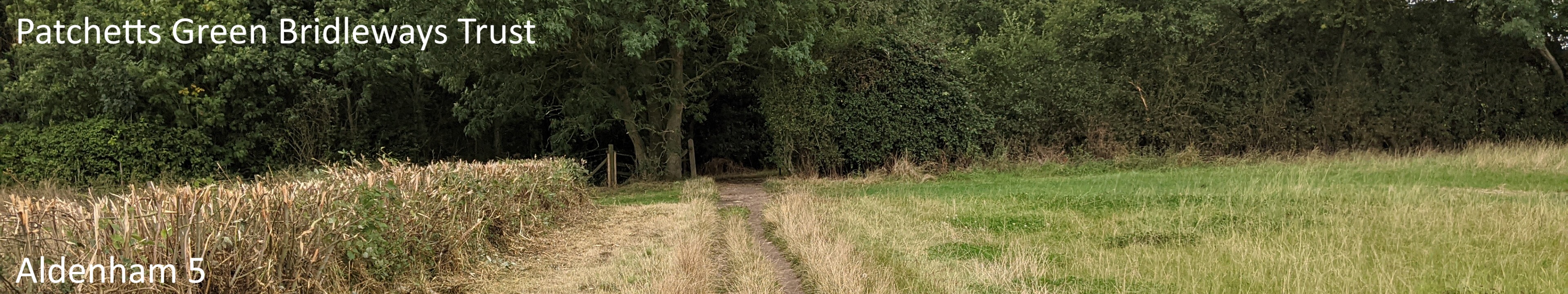 Photograph of Aldenham 5 restricted byway taken in 2022 showing path between two arable fields approaching an entrance to the woods