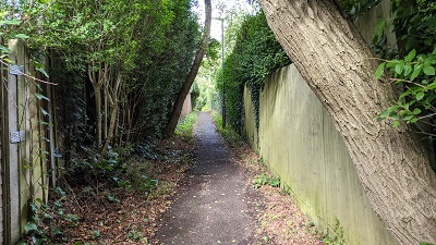 Photograph of Aldenham 53