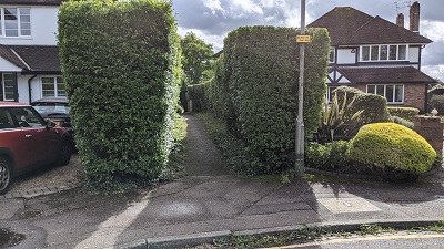Photograph of Aldenham 53