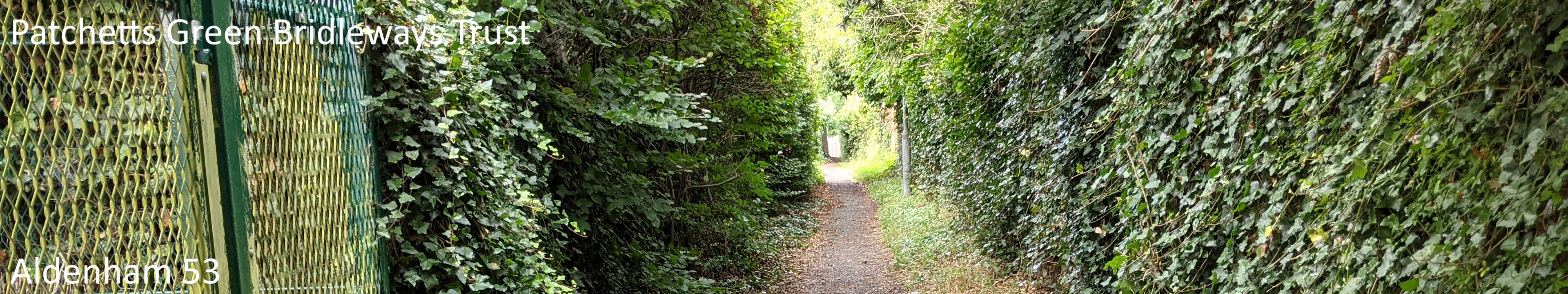 Photograph of Aldenham 53 restricted byway taken in 2021 showing path between two fences