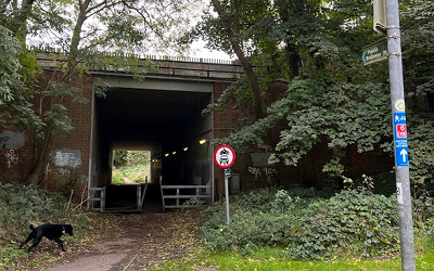 Photograph of Aldenham 66 and St Stephen 64