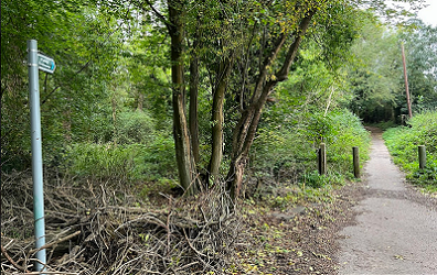 Photograph of Aldenham 66 and St Stephen 64