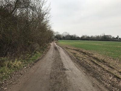 Photograph of Aldenham 71 bridleway