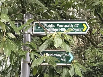 Photograph of Aldenham 71 bridleway