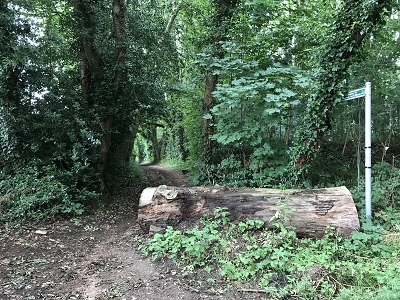 Aldenham 74