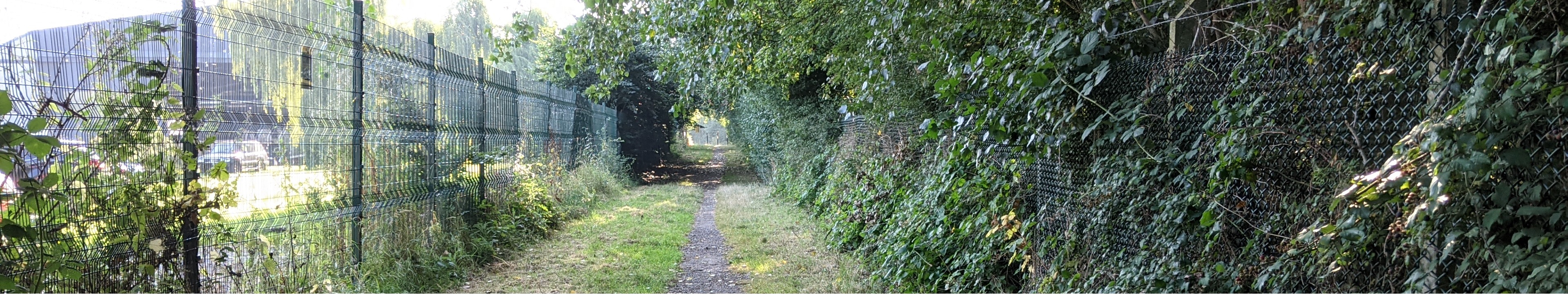 1993 Retrospective - Image of Aldenham 78 and Bushey 53, the Reservoir Path
