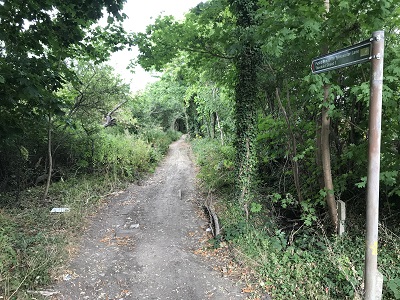 Photograph of Tykeswater Lane