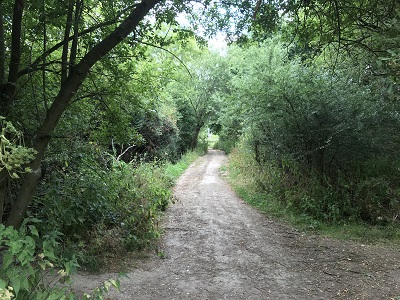 Photograph of Tykeswater Lane