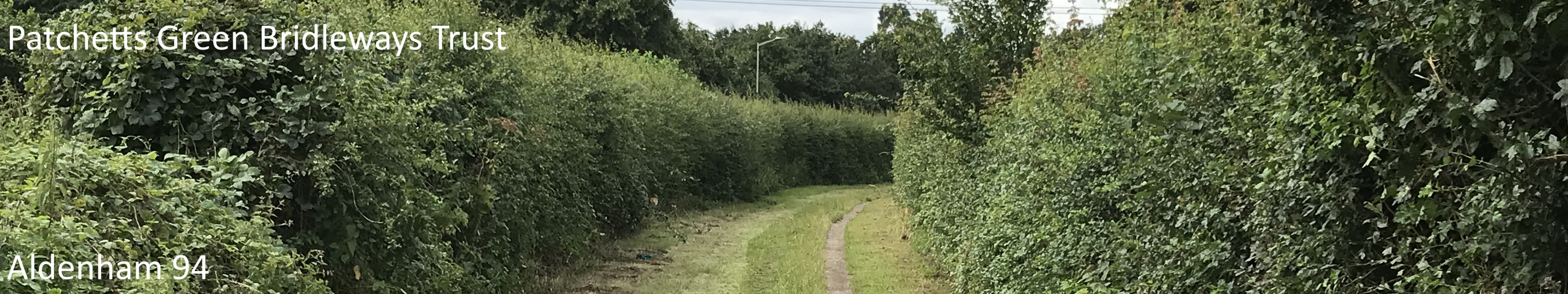 Photograph of Aldenham 94 bridleway, taken in 2021 showing grass path with hedgerows either side