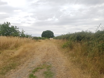 Photograph of Ardeley Windmill Path