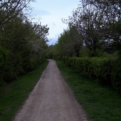 Ashwell 17