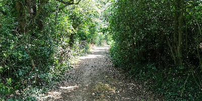 Sheafgreen Lane