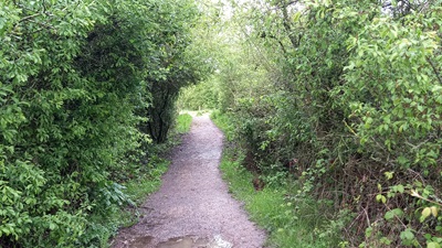 Photograph of Stevenage 107