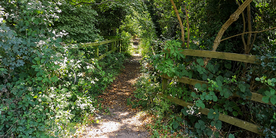Charlie Piddle's Lane