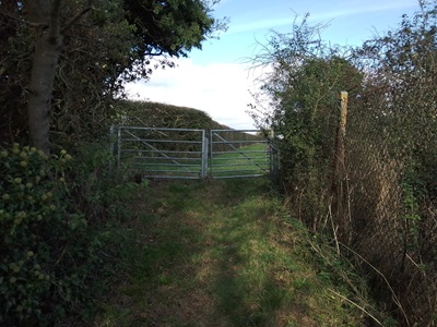Photograph of Barkway 17