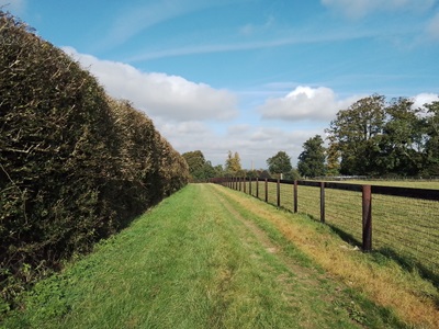 Photograph of Barkway 17