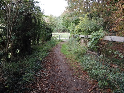 Photograph of Barkway 17