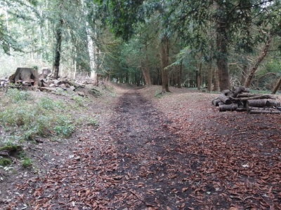 Photograph of Barkway 17