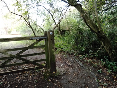 Photograph of Barkway 17