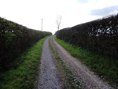 Photograph of Barkway 22 looking east