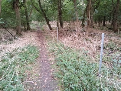 Barkway 27 and Reed 24