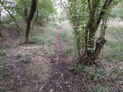 Barkway 27 and Reed 24