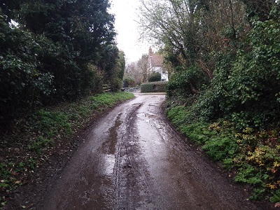 Photograph of Barley 18