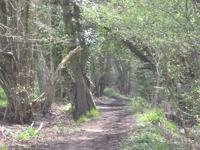 Photograph of Devil's Lane
