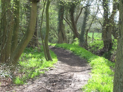Photograph of Devil's Lane