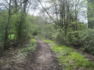 Photograph of Devil's Lane