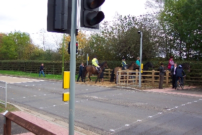 Shenley Pegasus Crossing 2
