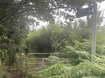 Photograph of Berkhamsted 56