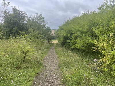Photograph of Berkhamsted 56