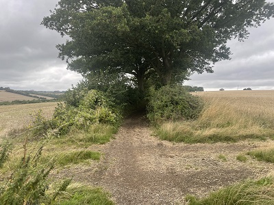 Photograph of Berkhamsted UCR1