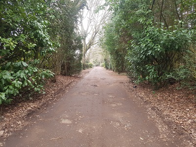 Bovingdon 20 Stoney Lane byway photo