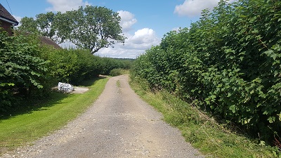 Brent Pelham and Meesden path