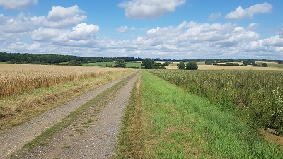 Brent Pelham and Meesden path