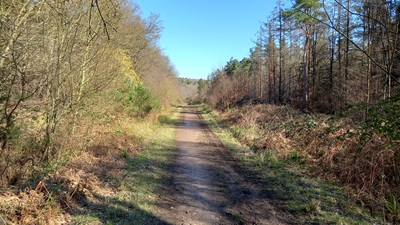 Photograph of Brickendon Liberty 30 bridleway