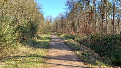 Photograph of Brickendon Liberty 30 bridleway