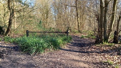 Photograph of Brickendon Liberty 30 bridleway